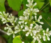 九游 -关于瀌??聤?∨?vaY幙殮弦l楓的信息